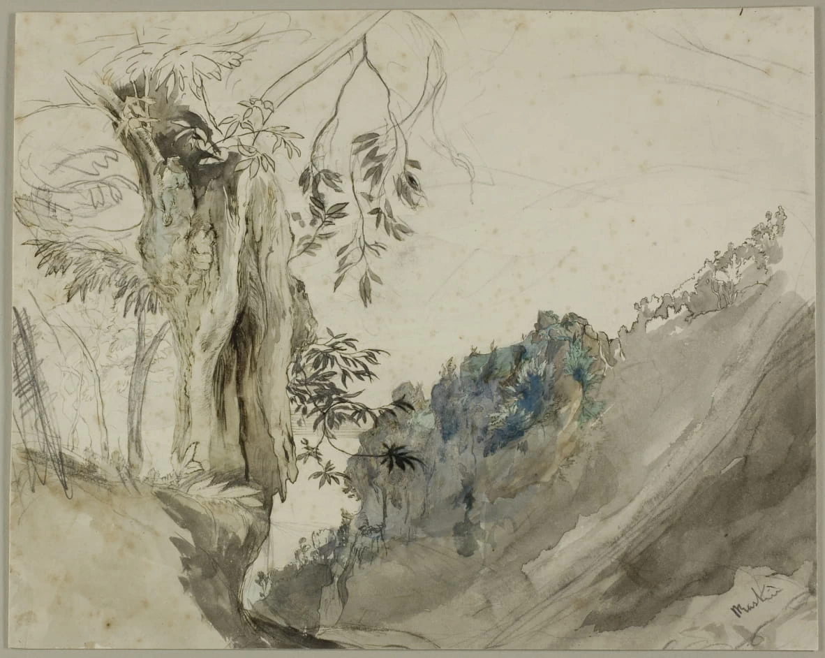 Castagno spagnolo - Art Institute of Chicago, Gift of Mrs. Chauncey McCormick